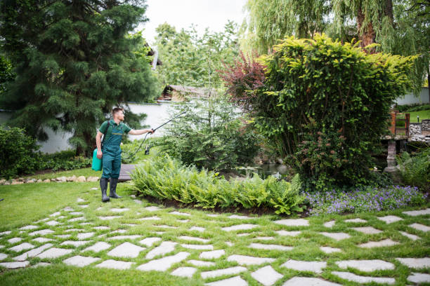 Pest Prevention Services in Falls Creek, PA