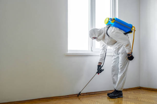 Best Wasp Removal Services  in Falls Creek, PA