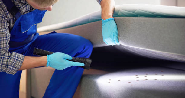 Best Rat Extermination Near Me  in Falls Creek, PA