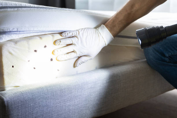 Best Pest Control Near Me  in Falls Creek, PA