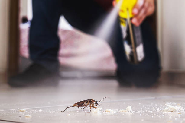 Best Affordable Pest Control Services  in Falls Creek, PA