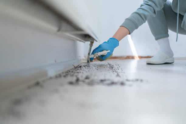Best Wildlife Control Services  in Falls Creek, PA