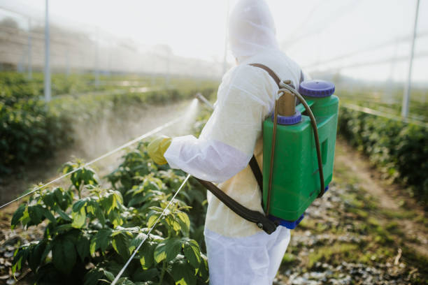 Best Pest Removal Services  in Falls Creek, PA